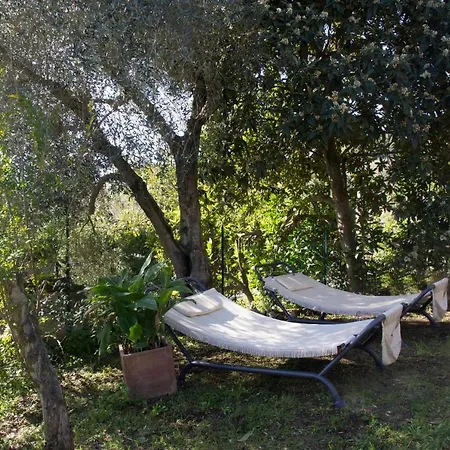 Casale San Pietro Otricoli