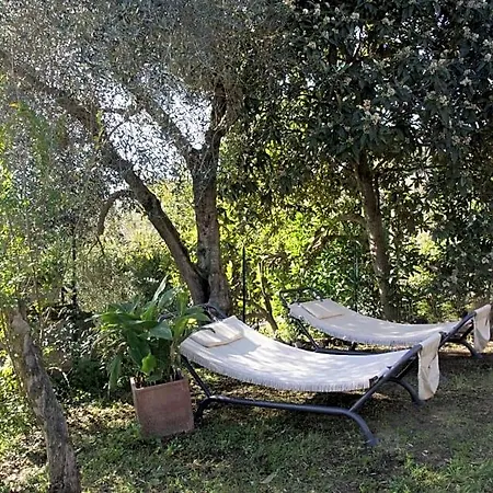 Casale San Pietro 3* Otricoli